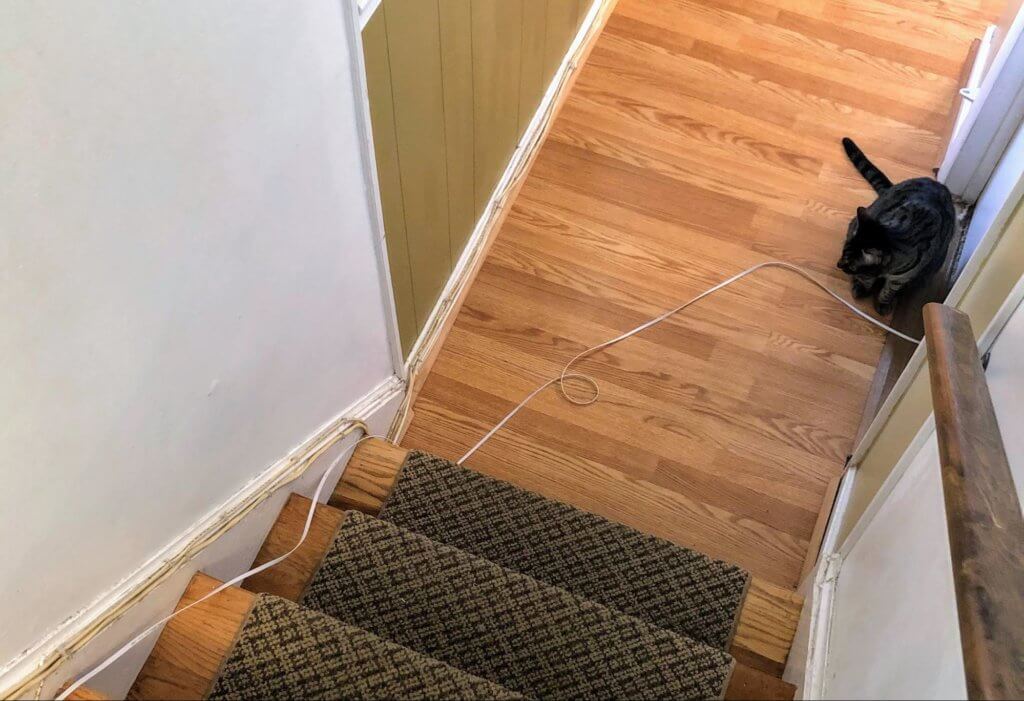 An Ethernet cable is loosely coiled on the floor, coming out of a closet underneath the door, and then running up a few stir steps hugging the wall. The cable is not fastened to anything. A cat is sitting on the floor next to the cable.
