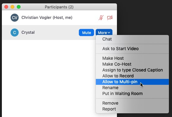 Screenshot of Zoom's participant dialog. The "More" button shows a popup menu with the mouse hovering over "Allow to Multi-pin."